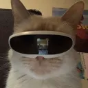 m4livesagain