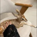 ts.ts