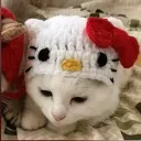 gabyofftheperk