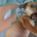 tsunnay