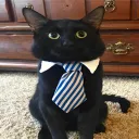 brambli