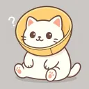 _jin1027_