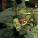 ryangoodgamer avatar