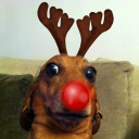 avatar 🌜✶ ; mads