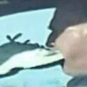 raplz6