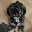 jtbswfl