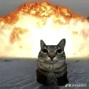 firefalcon6841 avatar