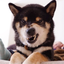 avatar jai