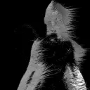 yerdnathx1