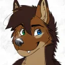 koda_irl