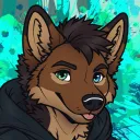 koda_irl