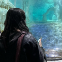 avatar ●☆mozzarella☆●