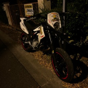 tweedlex-00's avatar