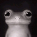 thelegitbob#0