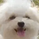 nanamichanjp