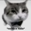 mantoapurado4 avatar