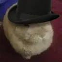 gdhoppin