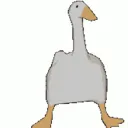 pato_quackofc