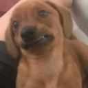 avatar 𝓽𝓮𝓷𝓲