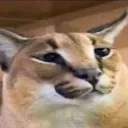 mikechiwisjuan