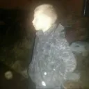 kingboom99