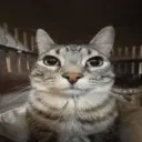 htt4ks.ae avatar