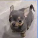 princeofdarkness2358 avatar