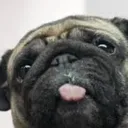 m1ster_mops