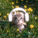 avatar kiara