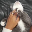 avatar debolawijayaa