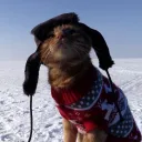 Аватар ilya_kakao12