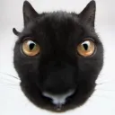 lilchulin avatar