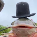Peluk's Avatar