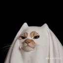 jl_ghost
