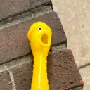 hfffrds21