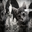 avatar 𝖇𝖎𝖆ꨄ