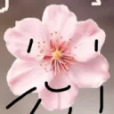 pillowgdshar25
