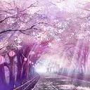 sakura.dromaeon