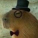 Mr capybara