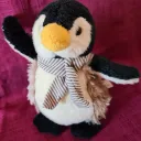 pica_pinguin