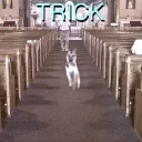 kkjsasha
