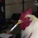 mr.yooutuber