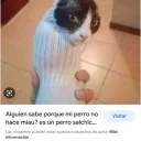 andresenhd avatar