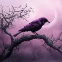 moonlit.vesper