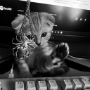 avatar 𝙧𝙖𝙞𝙣