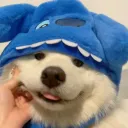 indiekim