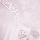 rarapupi