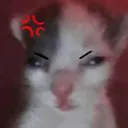 sper1z