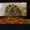 kingnull_