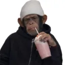 thecardace